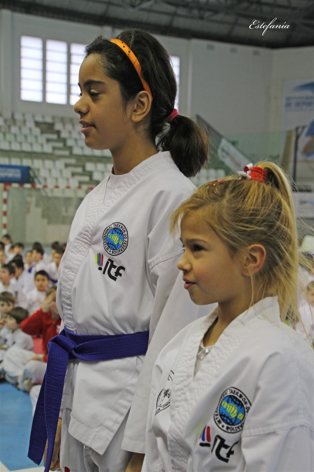 Taekwondo (262).jpg